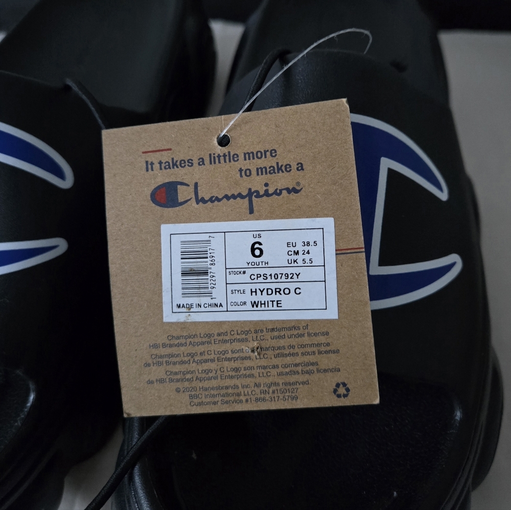 Champion Slides - Picture 2 of 6